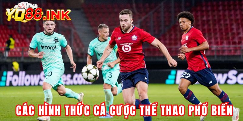 Các hình thức cá cược thể thao phổ biến tại Yo88