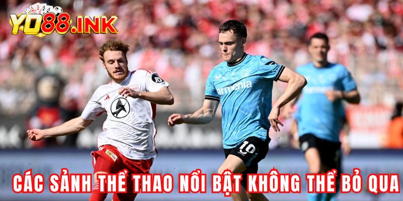 Những sảnh thể thao nổi bật không thể bỏ qua