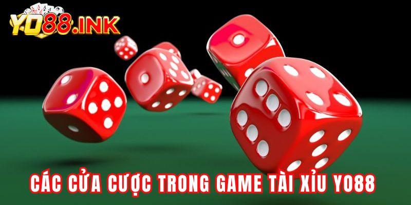 Các cửa cược anh em cần hiểu rõ khi chơi