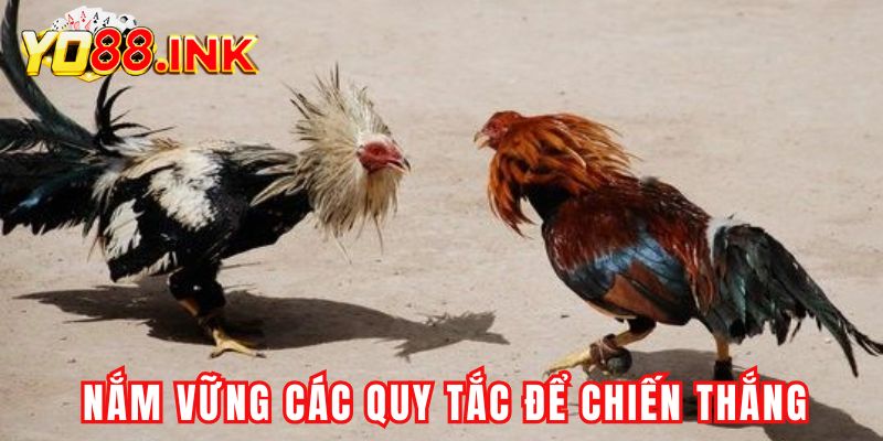 Nắm vững các quy tắc để chiến thắng dễ dàng